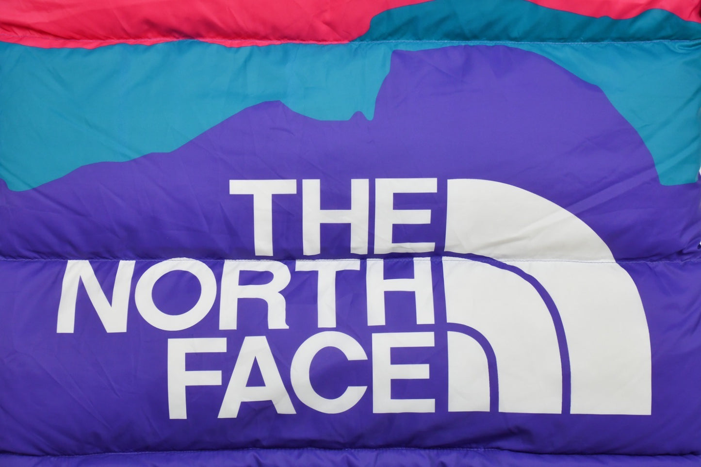 Jacke 1996 Retro Nuptse